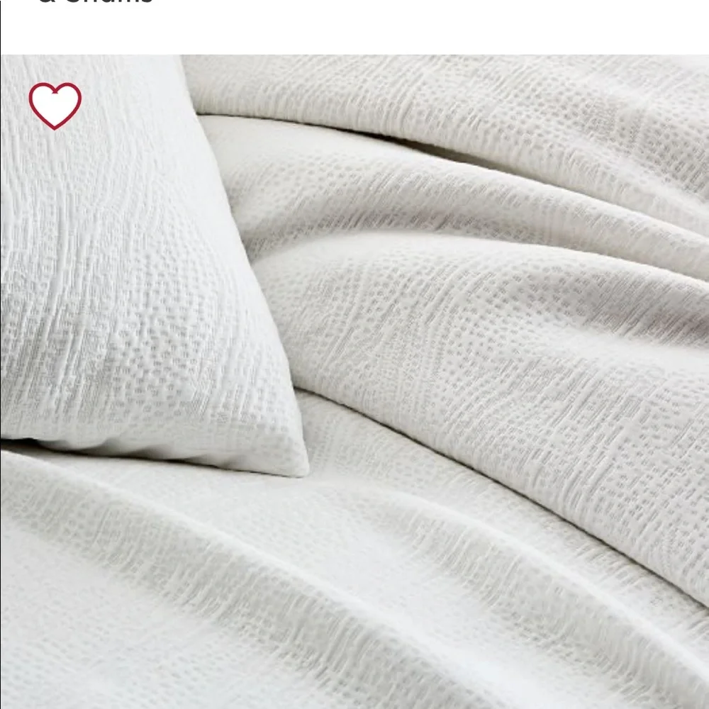 West Elm TENCEL™ & Cotton Matelasse Shams NWOT